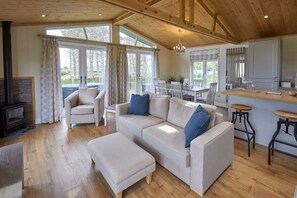 TV, fireplace, offices