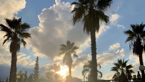 A gated entrance with palm trees and a clear sky. - Anna's HOUSE - Solarium Terrace (Pizzo)