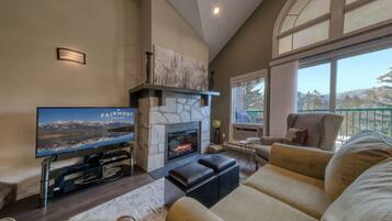 Télévision, cheminée, lecteur de DVD