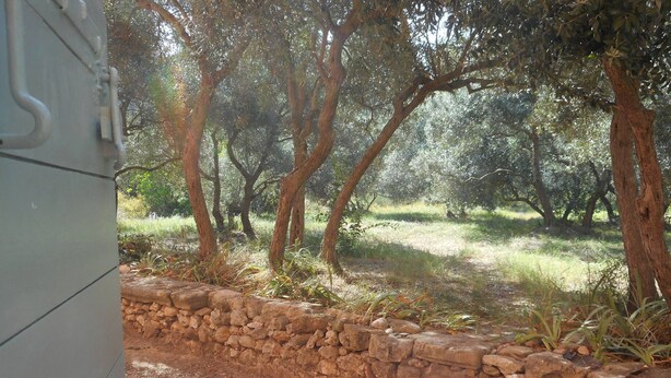 A stone wall and trees in a natural setting. - 80 m2 in a quiet, cool location, with double rooms, terrace and olive grove. (Aix-en-Provence)
