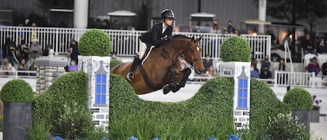 Un caballo saltando sobre obstáculos con setos y una valla blanca.