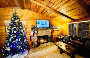 Smart TV, fireplace, books, music library