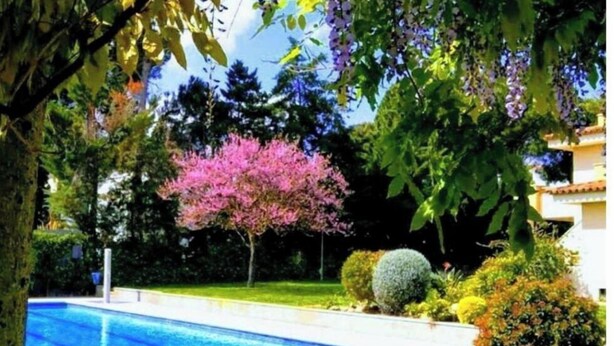 A swimming pool surrounded by lush greenery and a pink flowering tree. - Stil Mar Anna 300 m from the sea Salted swimming pool, garden, private terrace in Léscala (L'Escala)