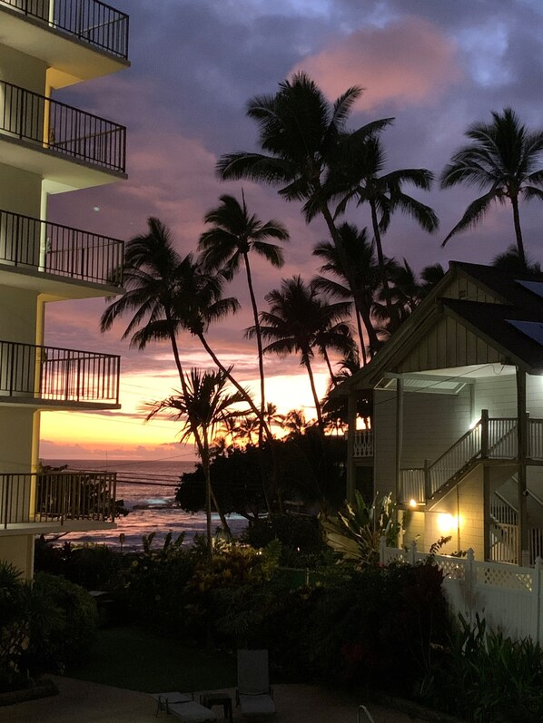 Property grounds - KONA DOWNTOWN DREAM OCEAN VIEW FREE PARKING NEW MEMORY FOAM MATTRESS ELEVATORS (Kailua-Kona)