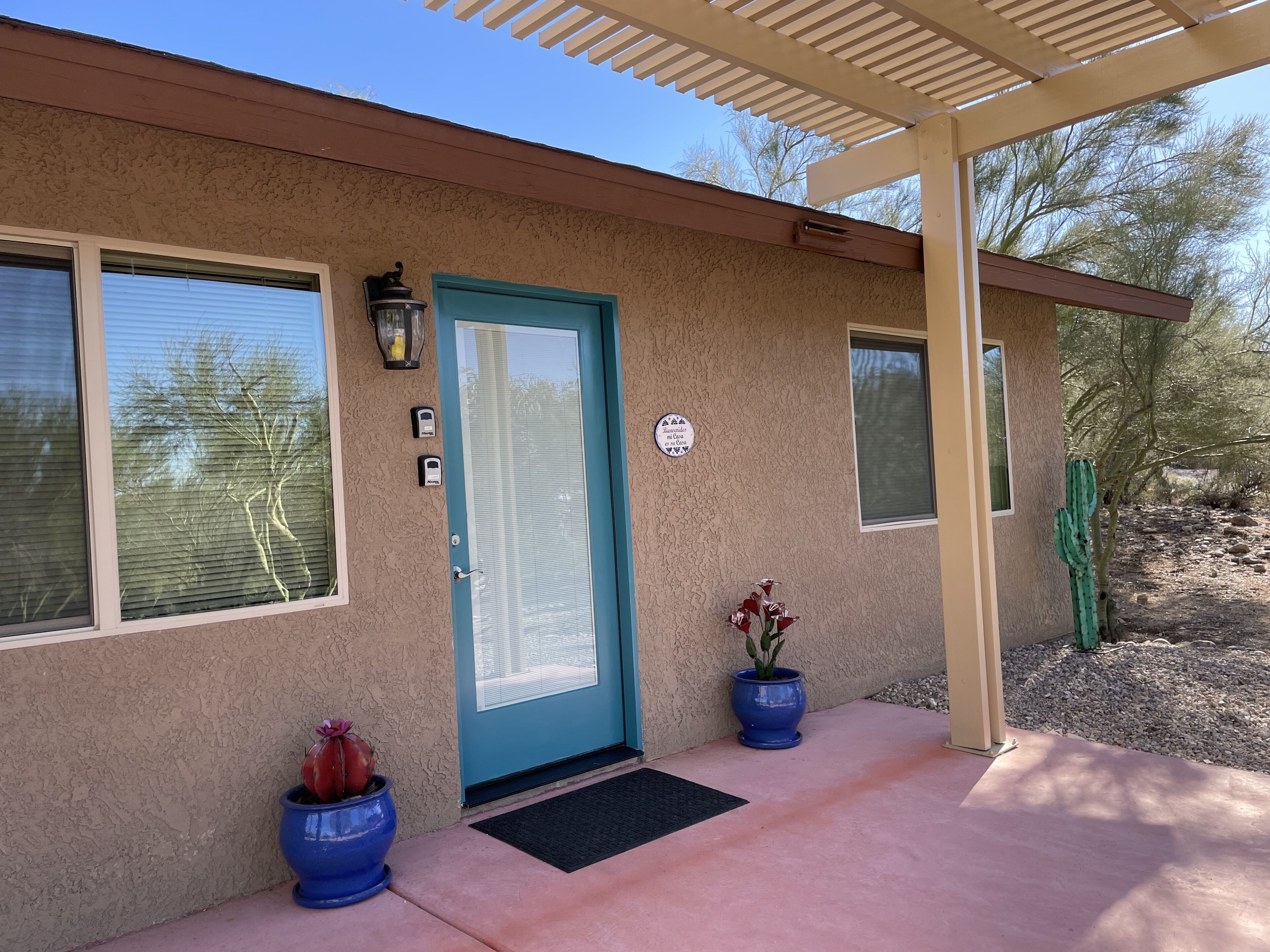 A building with a blue door, a window, and a doorbell. There are two potted plants and a cactus outside.