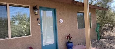 A building with a blue door, a window, and a doorbell. There are two potted plants and a cactus outside.