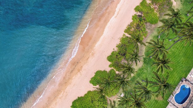 Vista aérea de una playa con piscina y palmeras.