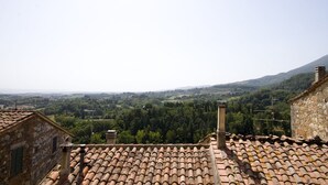 A view of a terracotta-tiled roof, stone buildings, and a valley with trees and a mountain in the background. - View on the Vally (Cetona)