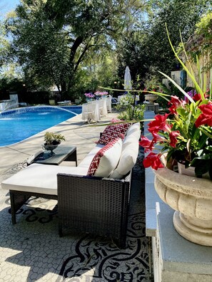 A poolside area with lounge chairs, a table, and a potted plant. - Carriage House Villa and gardens in downtown historic Lexington SC (Lexington)