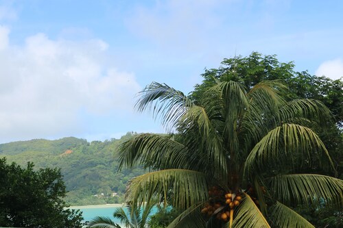 Yellow Petals Self Catering Seaview Apartments Seychelles