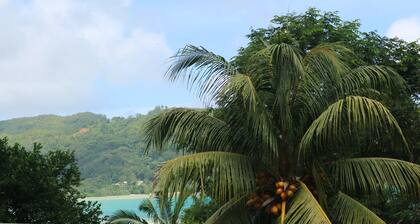 Yellow Petals Self Catering Seaview Apartments Seychelles