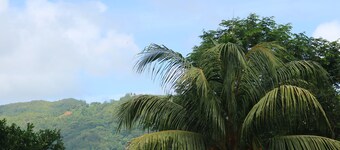 Yellow Petals Self Catering Seaview Apartments Seychelles