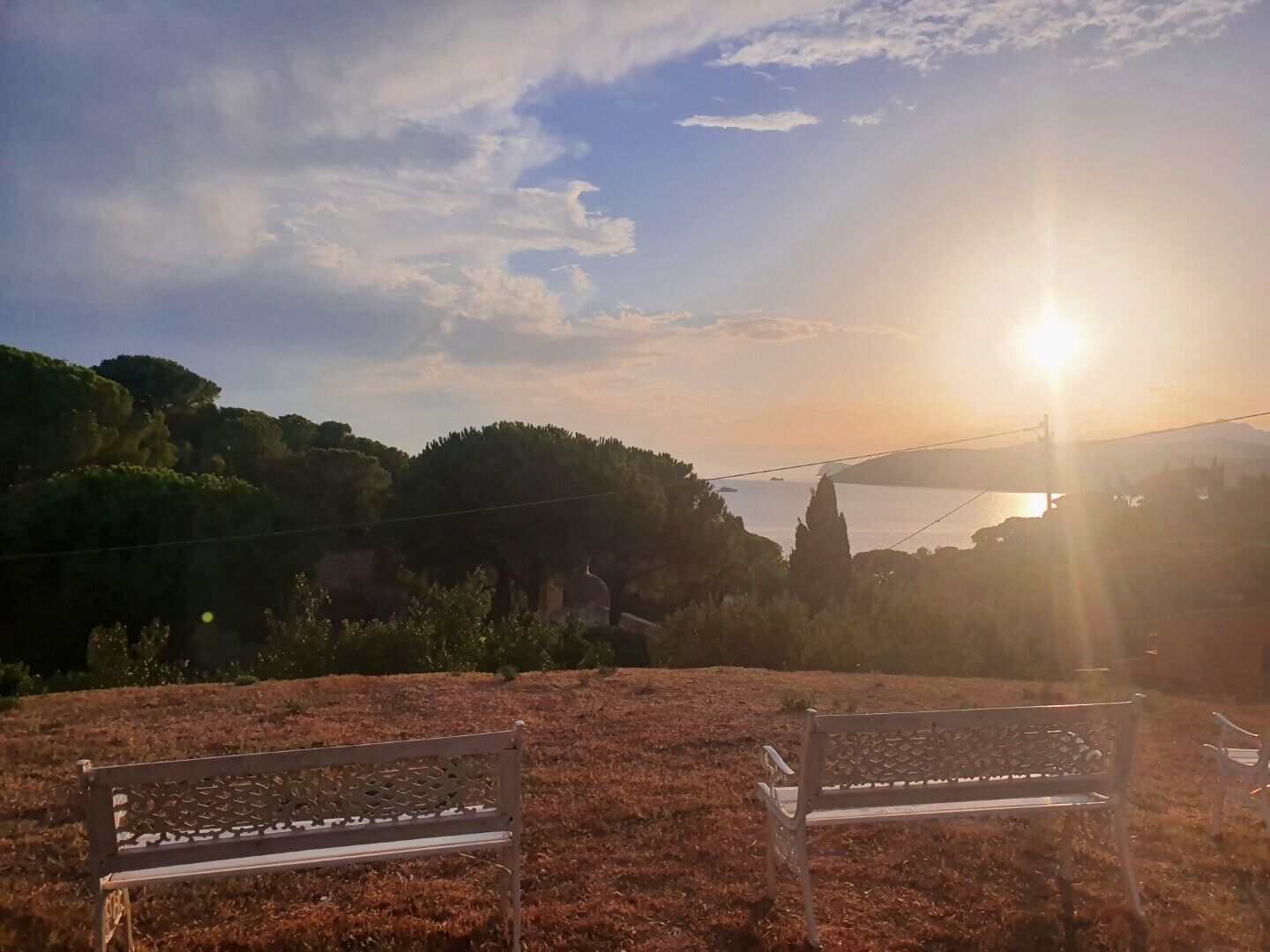 Deux bancs placés face à face, offrant une vue sur un coucher de soleil au-dessus d’une étendue d’eau, avec des arbres en arrière-plan.