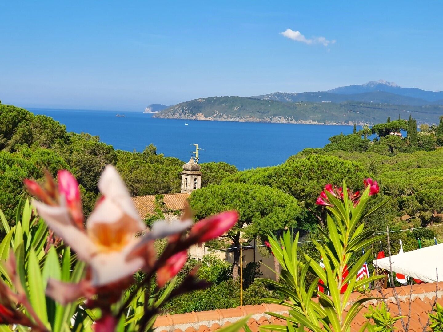 A coastal landscape with a church, lush greenery, and a clear view of the sea.