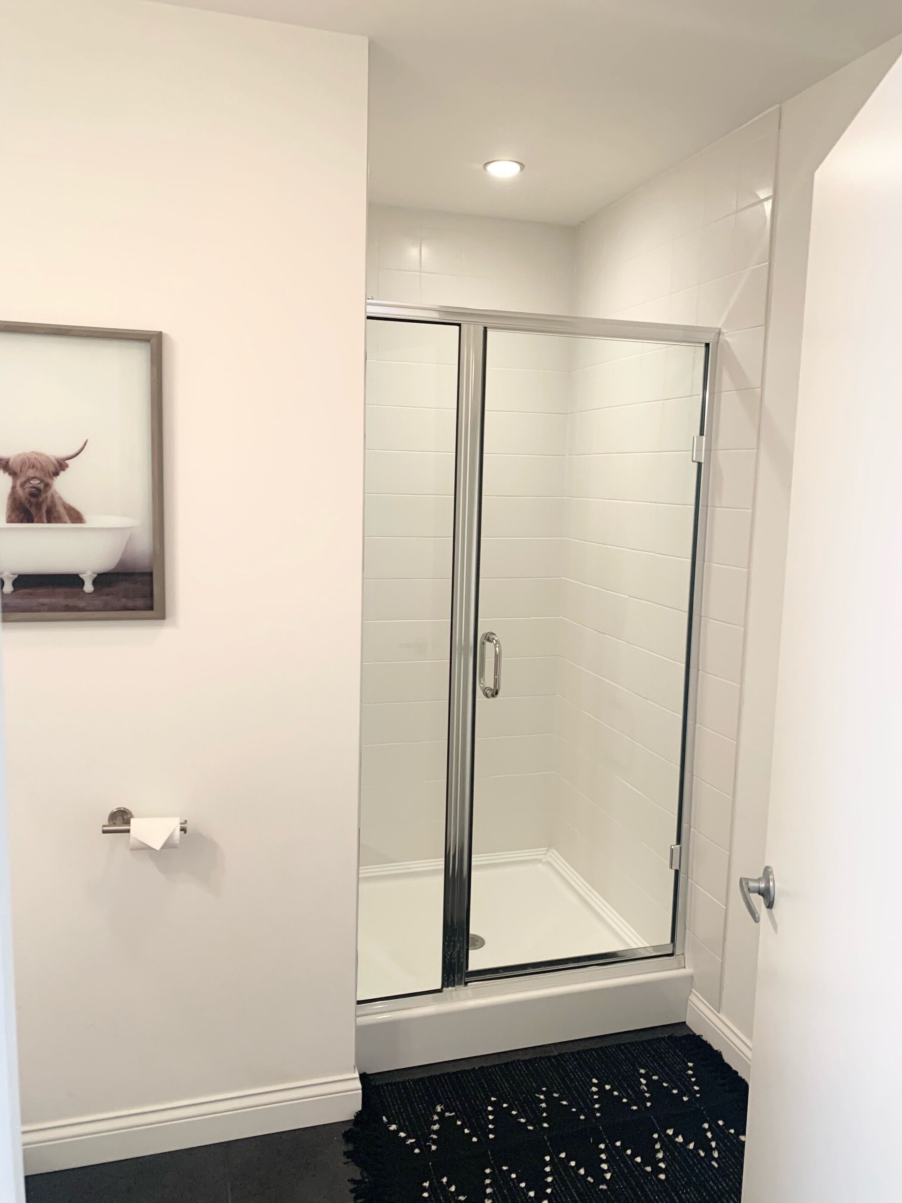 A modern bathroom with a glass shower enclosure, a framed picture of a dog in a bathtub, and a black and white patterned rug.