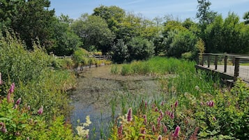 Biệt thự | Khuôn viên nơi lưu trú