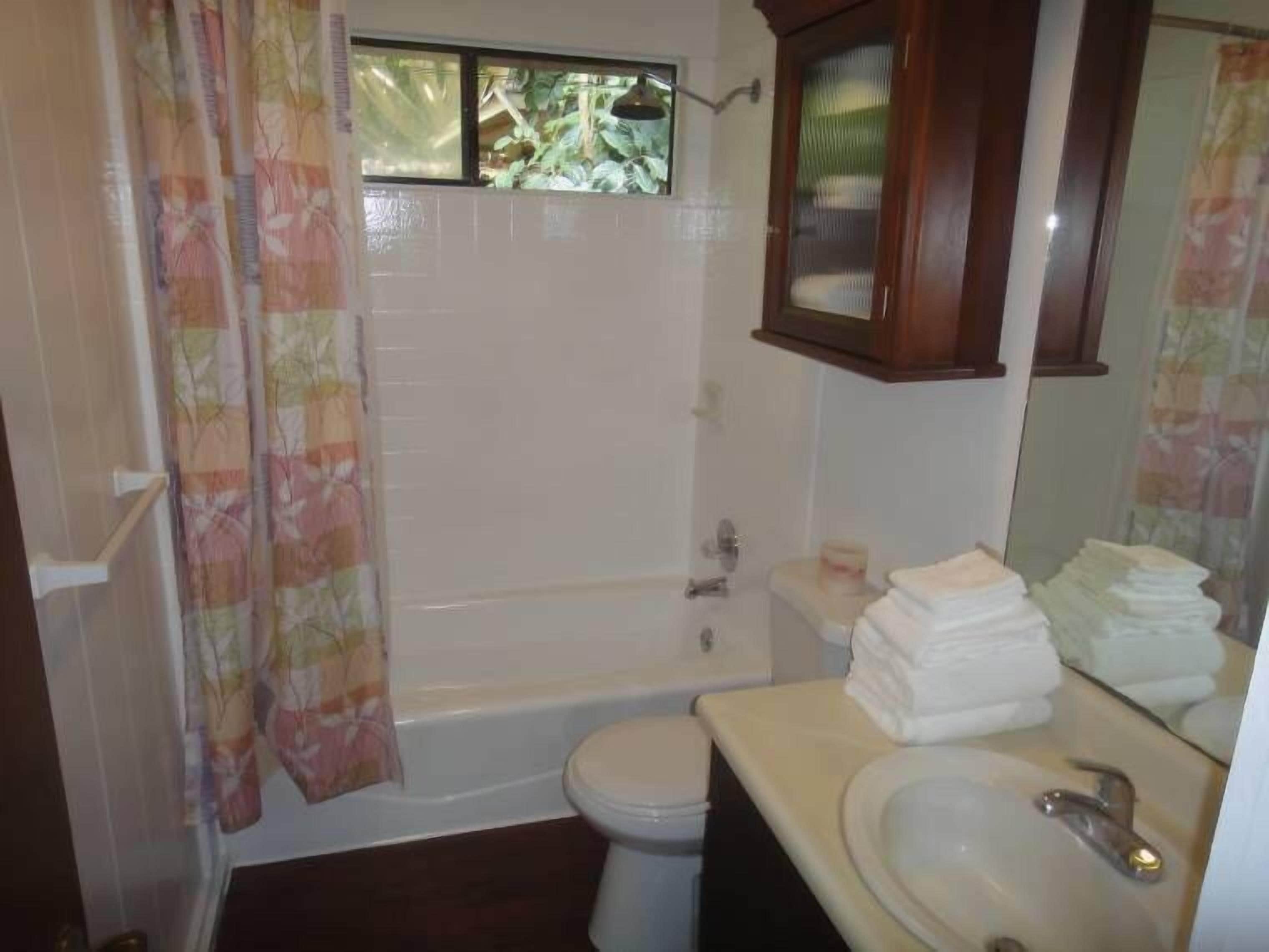 Combined shower/tub, hair dryer, towels, toilet paper