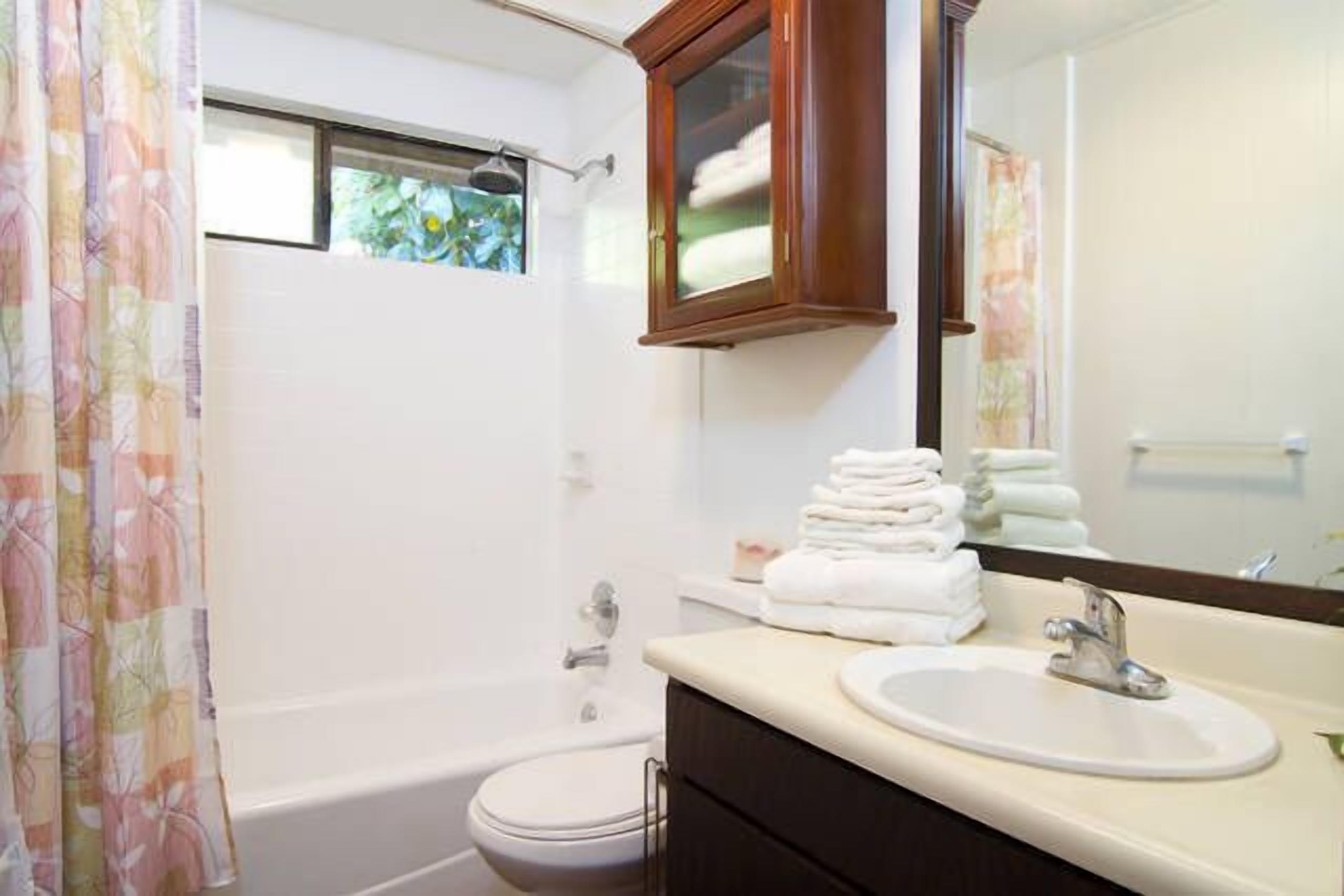 Combined shower/tub, hair dryer, towels, toilet paper