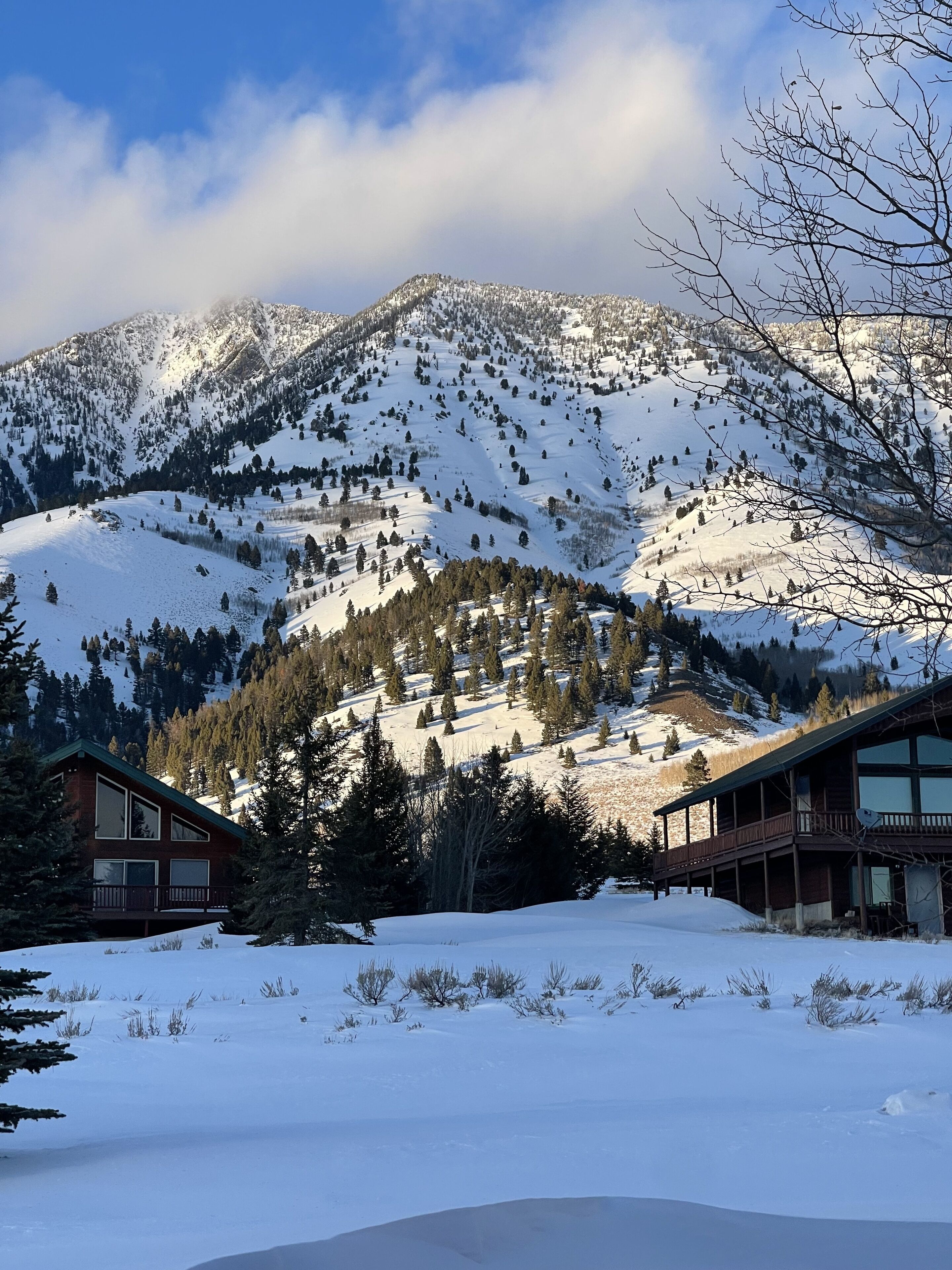 A cabin with a balcony and large windows, surrounded by snow-covered mountains and trees.