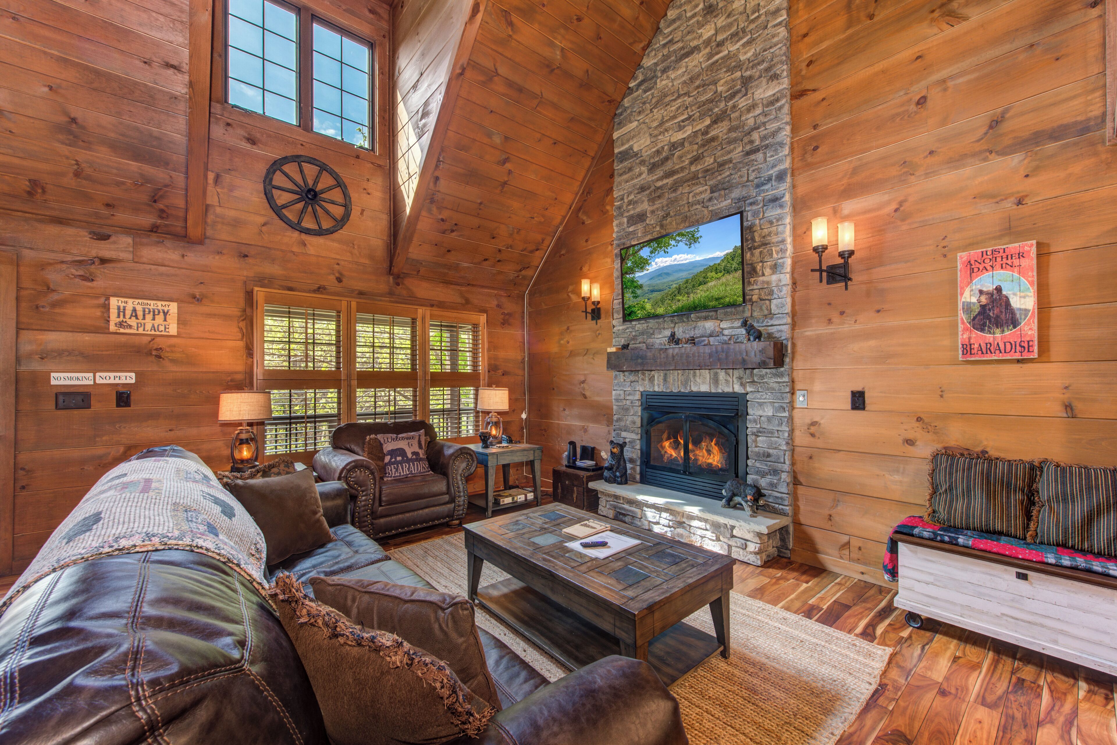 TV, peis og videospill