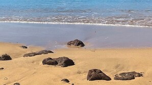 A beach with clear water, rocks, and a distant mountain. - Relaxing Oceanfront! (Wailuku)