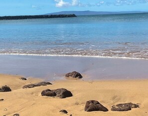 A beach with clear water, rocks, and a distant mountain.
