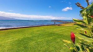 A grassy lawn with a view of the ocean and a rocky breakwater. - Relaxing Oceanfront! (Wailuku)