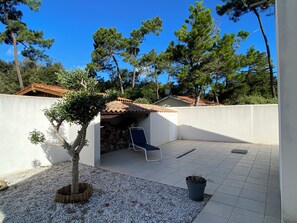 Terras