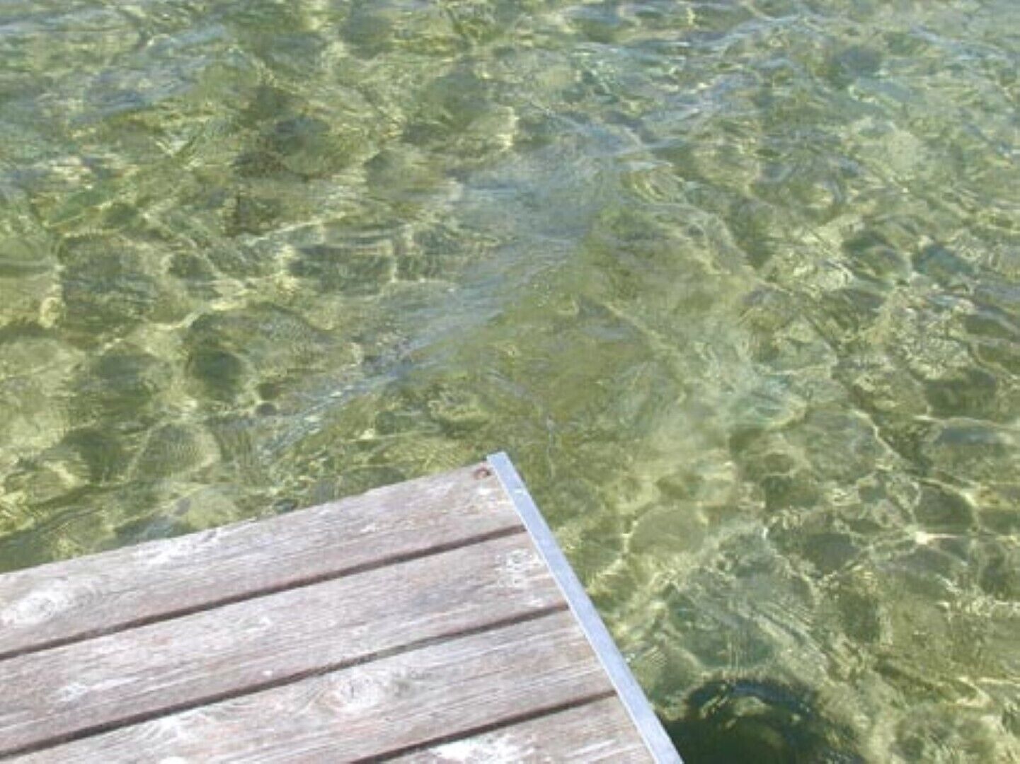 A wooden dock extending into clear water with visible rocks and aquatic plants.