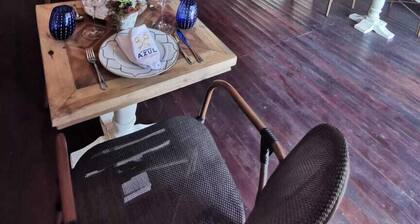 La Estancia Azul, Frida Kahlo