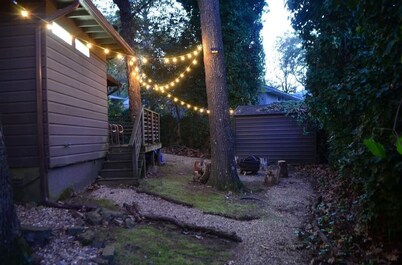 Cozy Mid Century Home