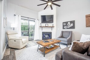 Smart TV, fireplace, books