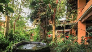 Unclassified image, 4 of 53, button - La Casa de Piedra By Rotamundos (Cuetzalan del Progreso)