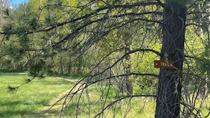 A tree with a sign that reads "TRAILS" in a wooded area.