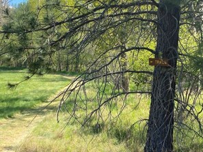 Property grounds - THE CABIN on Lake Creek River (Troy)