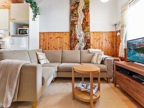 Televisio, DVD-soitin