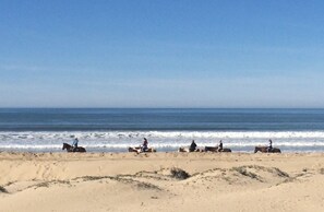 Guests can enjoy breathtaking ocean views and scenic horseback rides along the sandy beach.
