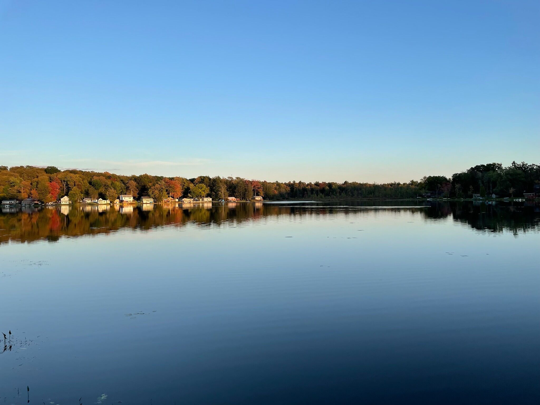 A calm lake with a row of houses along the shore, reflecting the trees and sky.