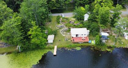 ✨ Lakeside Reflections