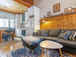 Fernseher, Kamin