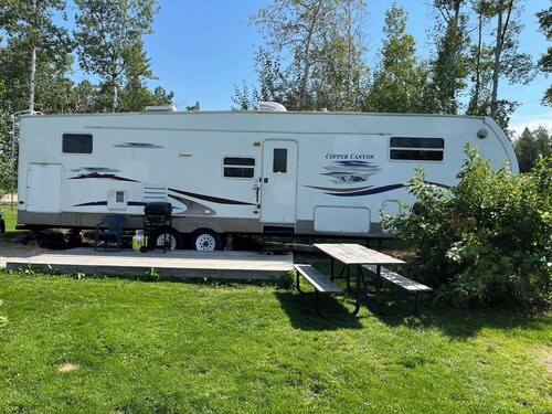 Loon - Camper at Sunset Bay