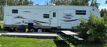 Loon - Camper at Sunset Bay