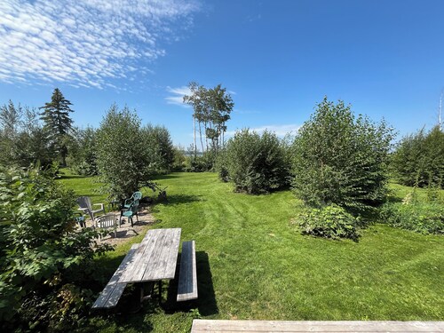 Loon - Camper at Sunset Bay