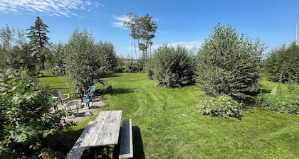 Loon - Camper at Sunset Bay