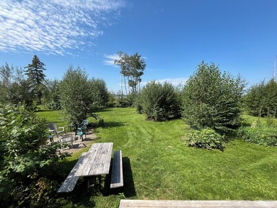 Loon - Camper at Sunset Bay