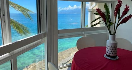 STUDIO EN DUPLEX , VUE PLONGEANTE DANS L'OCEAN