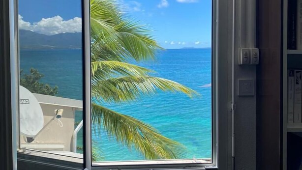 A room with a large window offering a view of a beach with palm trees and clear blue water.