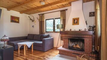 TV, fireplace