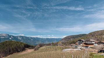 A mountainous landscape with a vineyard, a house with a balcony, and a clear sky.
