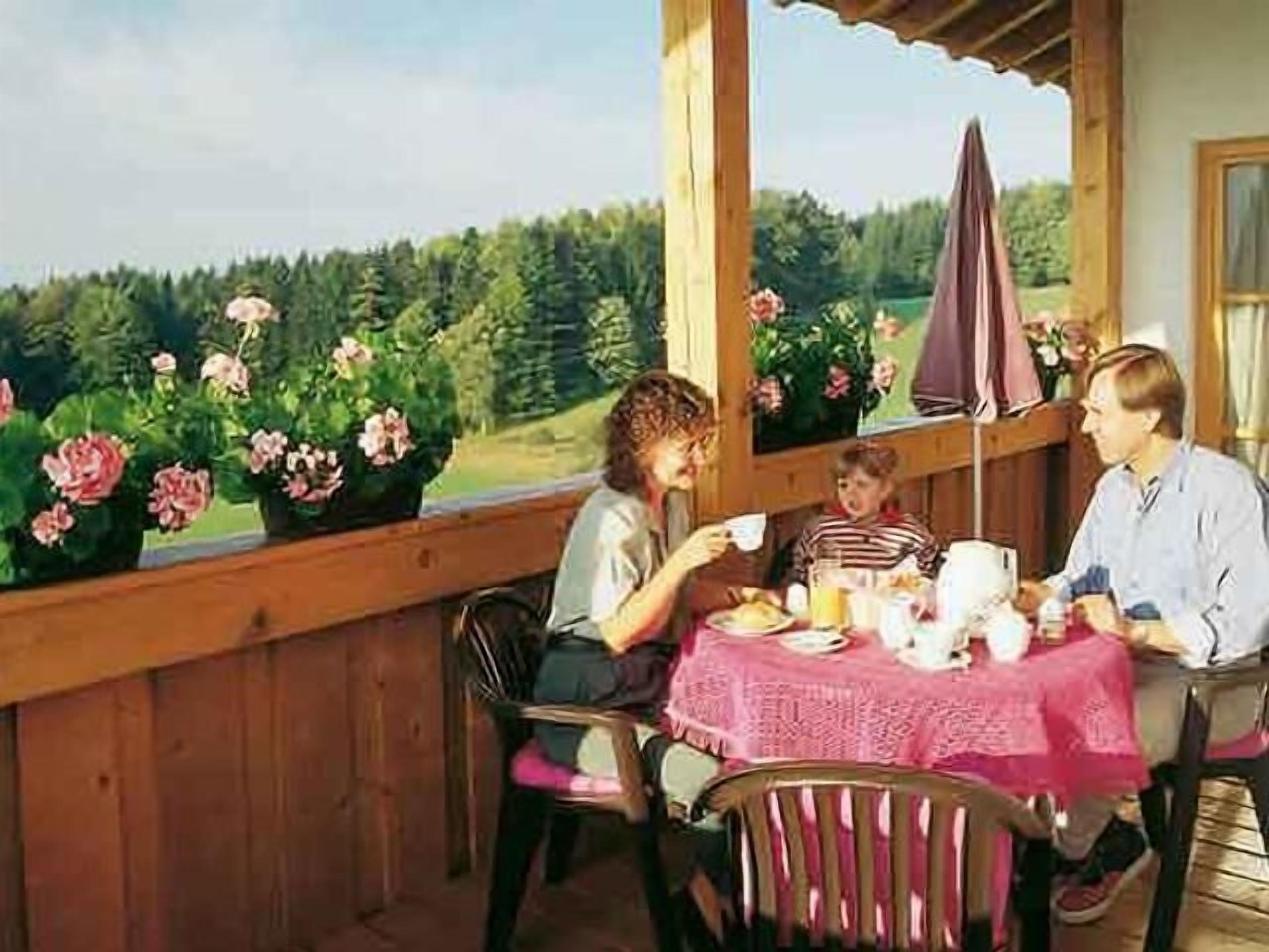 Landhaus Birkenberg (Neuschönau)-Balkon